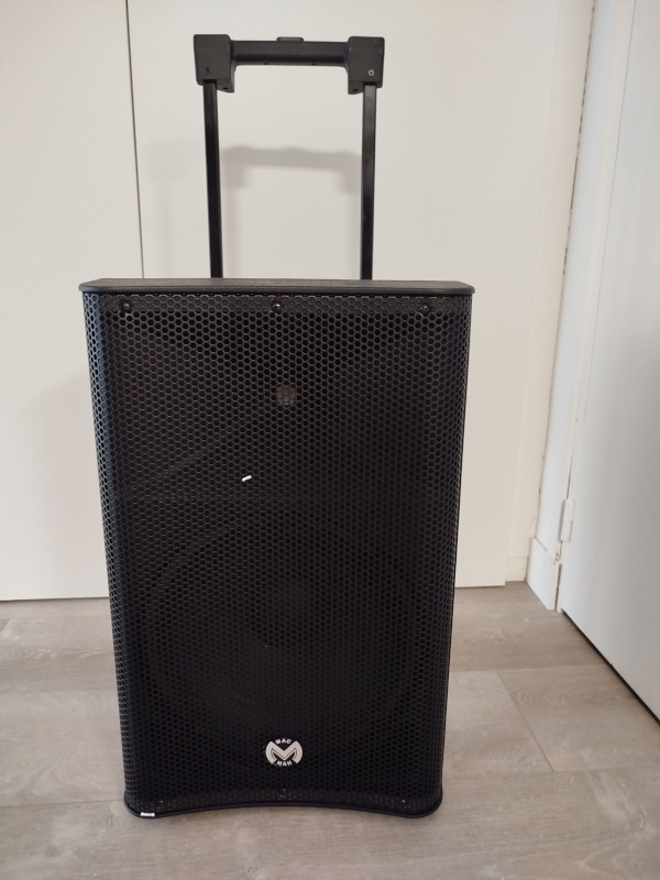 Sono Portable avec Micro HF