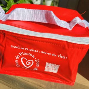 Lot de 5 sacs isothermes