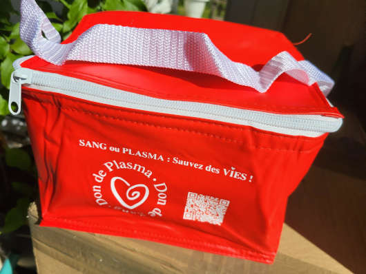 Lot de 5 sacs isothermes